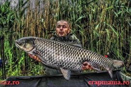 Crapmania (2) - 2013